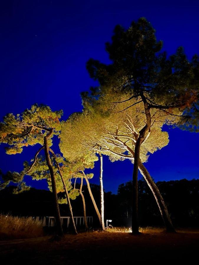 Les Salines Boyardville - Appart'Hotel Saint-Pierre-d'Oleron Ngoại thất bức ảnh