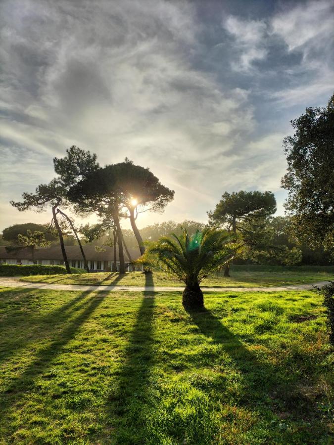 Les Salines Boyardville - Appart'Hotel Saint-Pierre-d'Oleron Ngoại thất bức ảnh